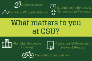 What matters to you at CSU poster